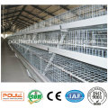 Pullet Cage Suppliers for Chicken Coop